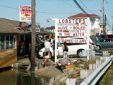 Brown's Lobster Pound